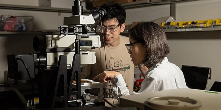 新算法精准解码分子光学“指纹”